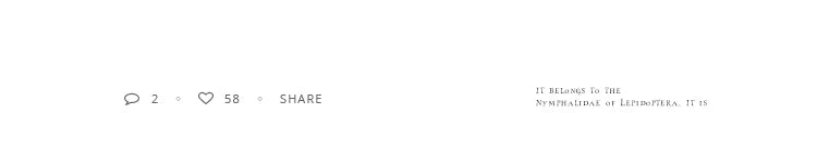 Kolczyki z wkładką w kolorze złotym i srebrnym z cyrkoniami